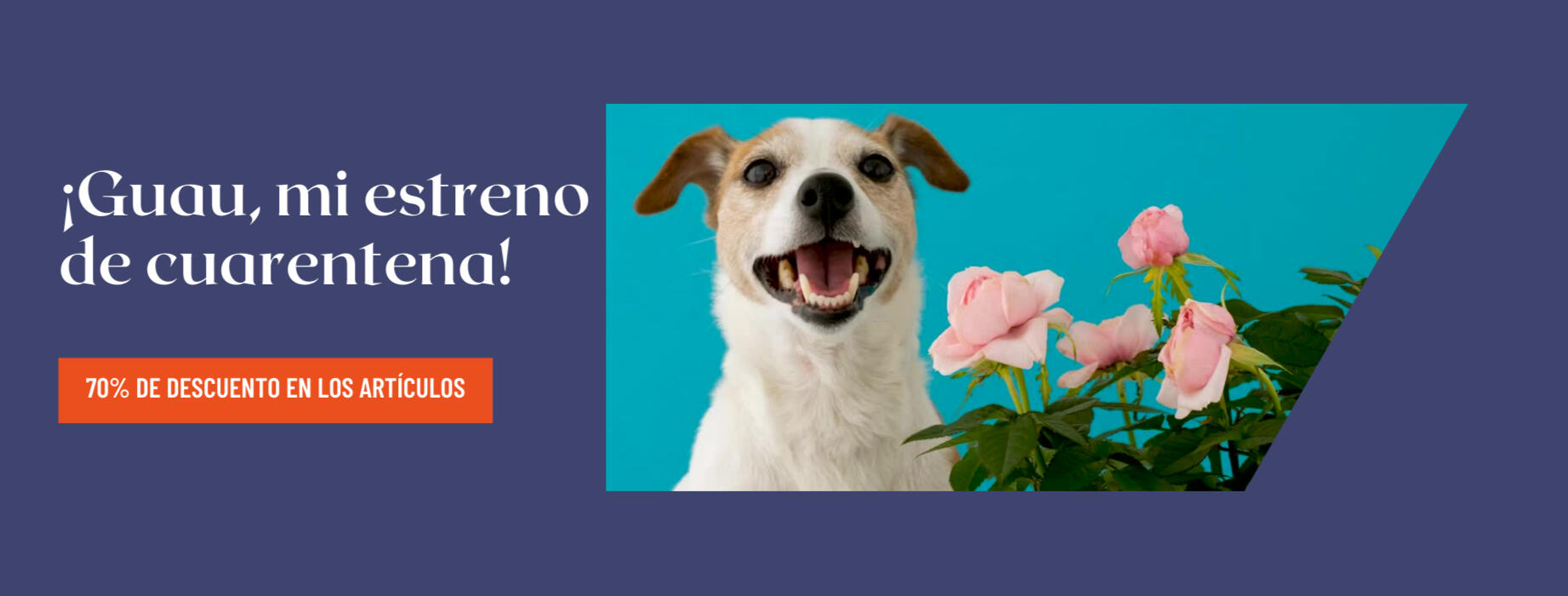 ¡Gua, estreno de cuarentena! exclamó el perro. 70% de descuento